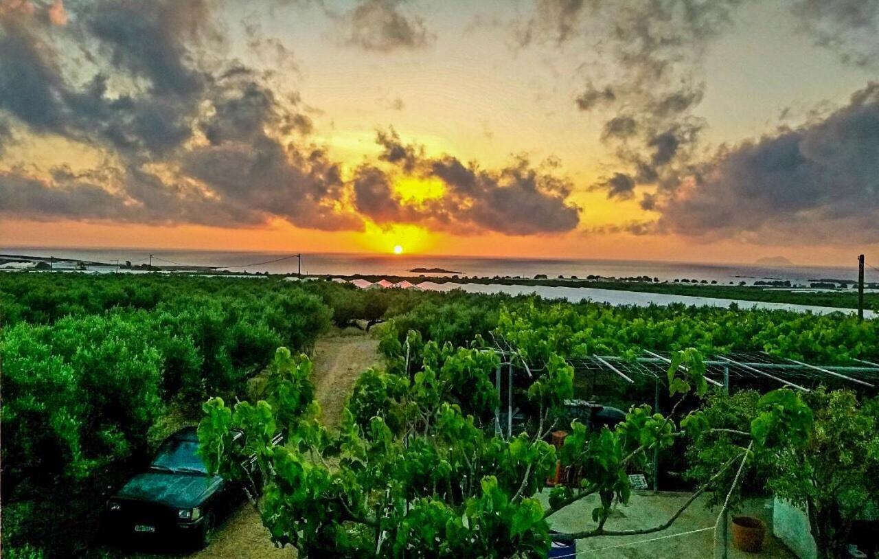הוילה Agios Fotios Pause Serenity House Into Olive Groves מראה חיצוני תמונה